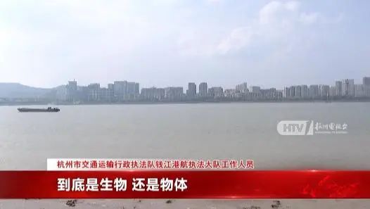 水面疑似出现高速不明物：可能超5米米乐m6江西天降火球未头绪钱塘江(图9)